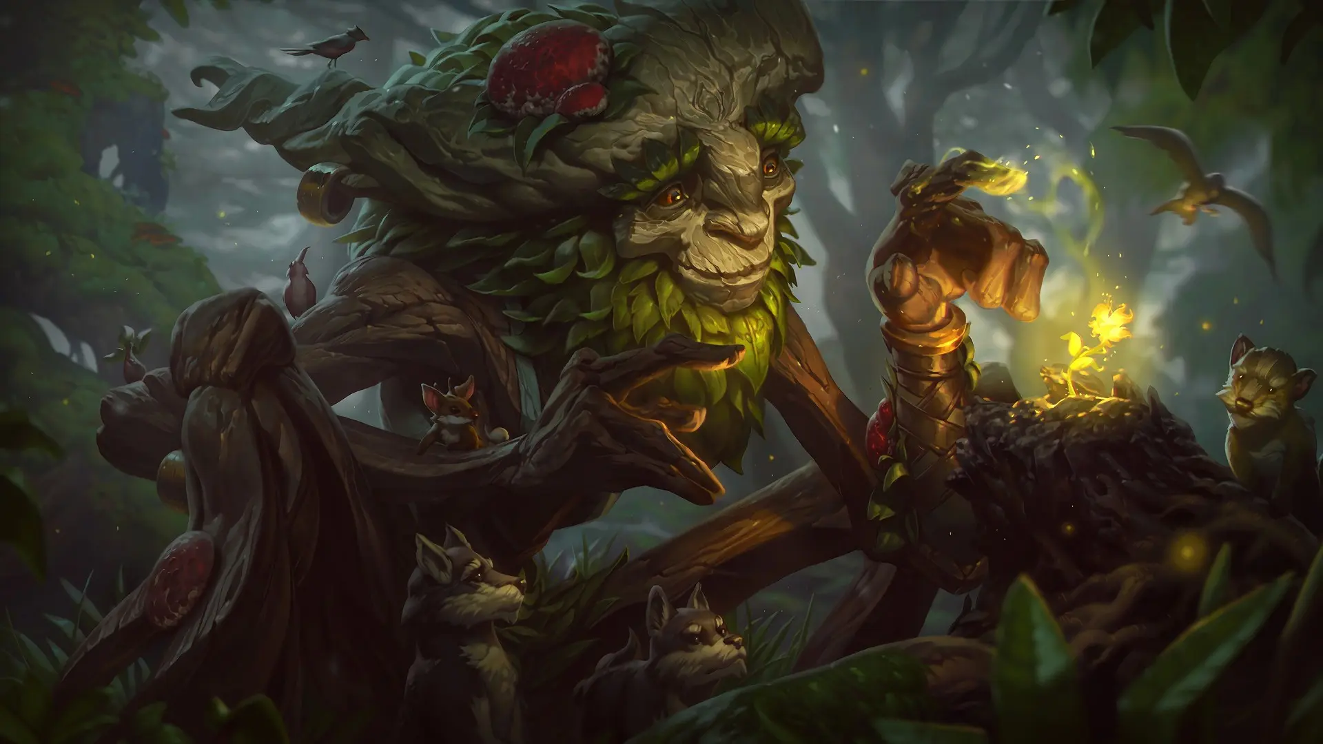 League of Legends koçluk